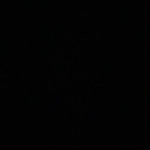 Meet your Posher, Roxy